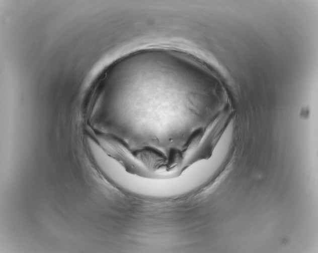 X0000090481506200708102144