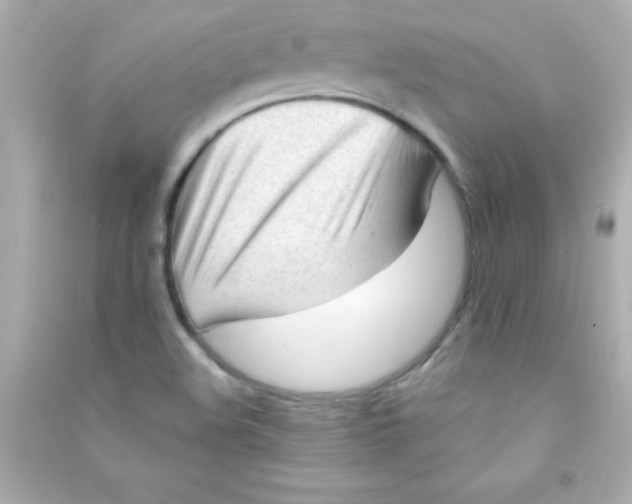 X0000090481508200708102145