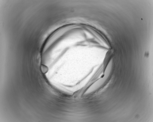 X0000090481509200708102145