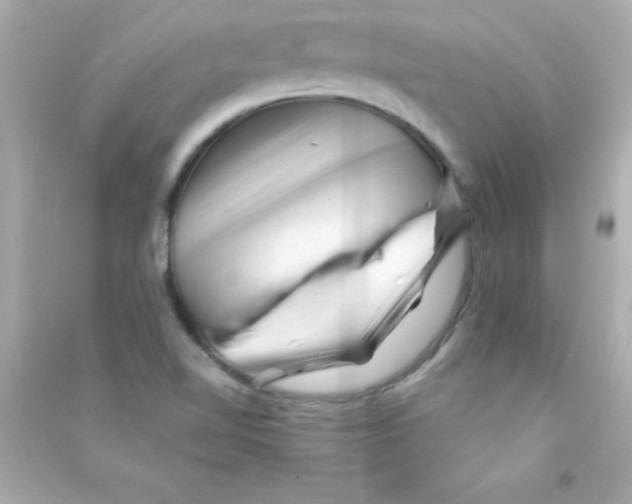 X0000090481510200708102145