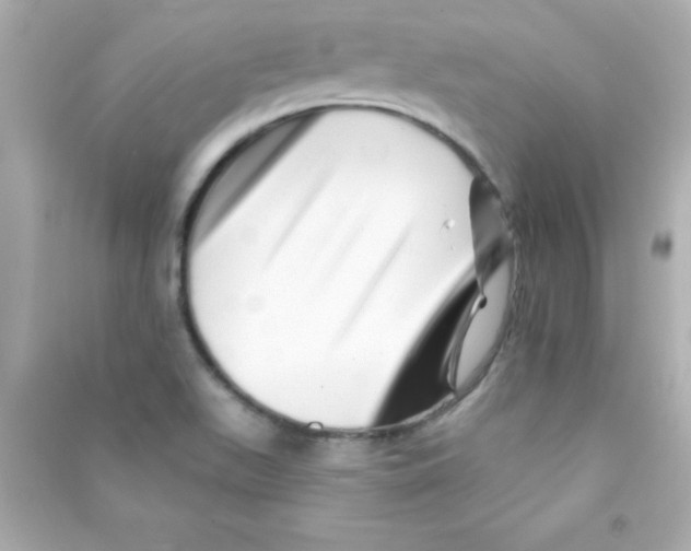 X0000090481511200708102145