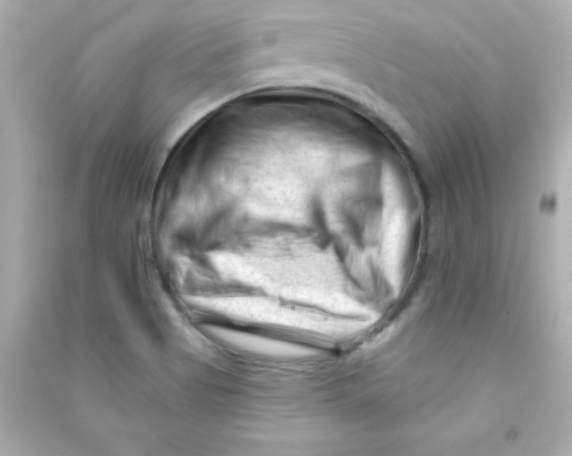 X0000090481513200708102145