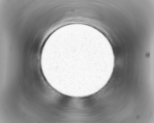 X0000090481514200708102145