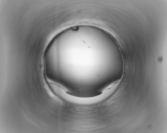 X0000090481515200708102145