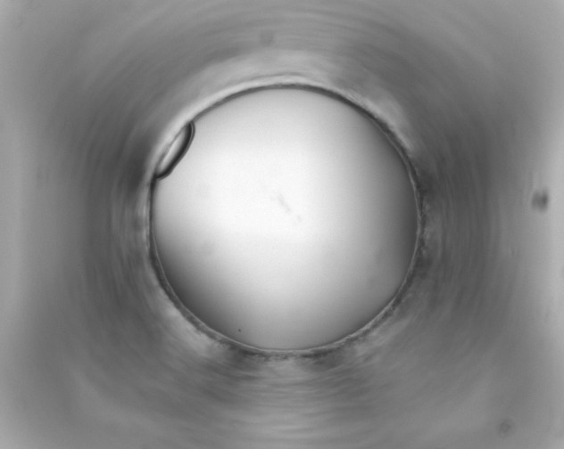 X0000090481516200708102145