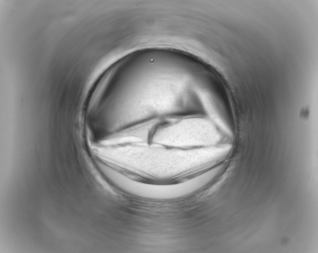 X0000090481517200708102145