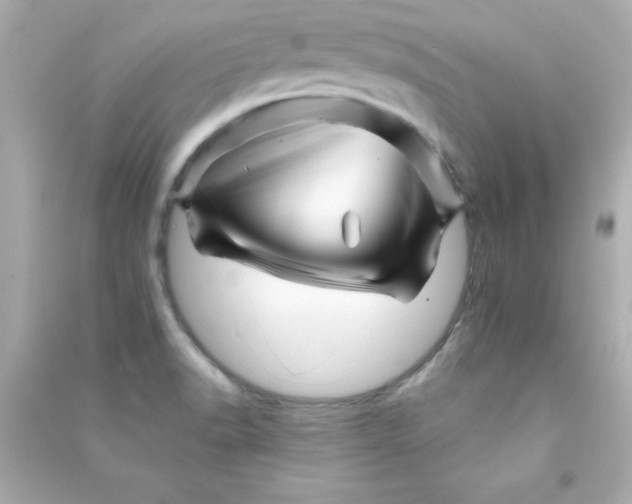 X0000090481518200708102145