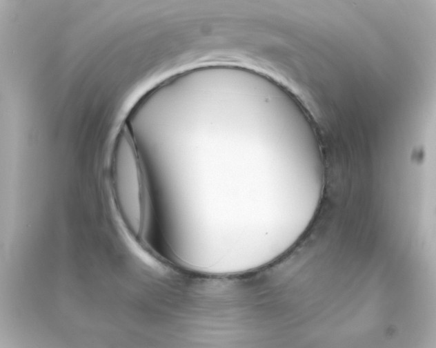 X0000090481519200708102145