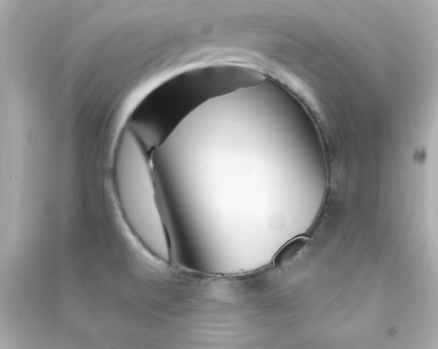 X0000090481520200708102145