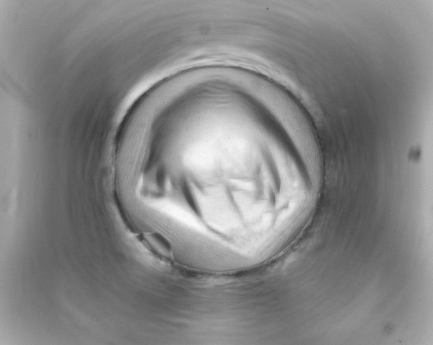 X0000090481522200708102145