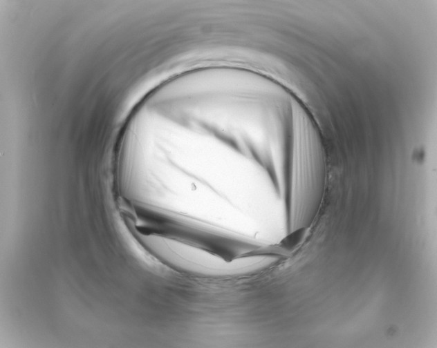 X0000090481523200708102145