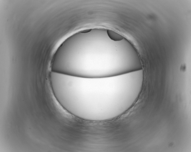 X0000090481524200708102145