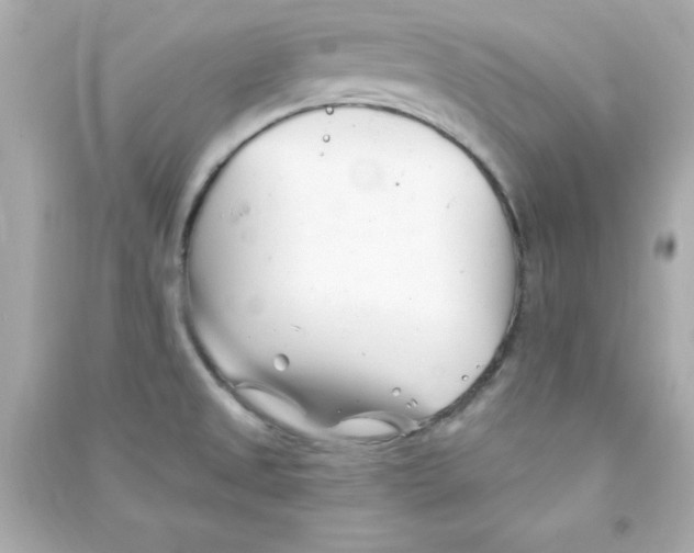 X0000090481525200708102145
