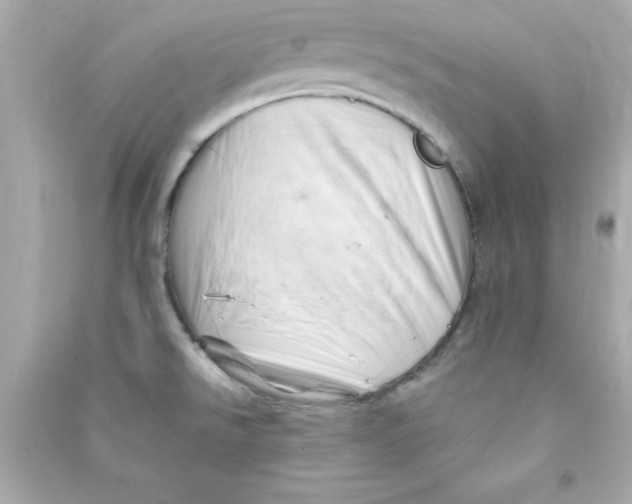 X0000090481526200708102145