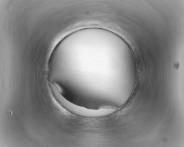 X0000090481527200708102145
