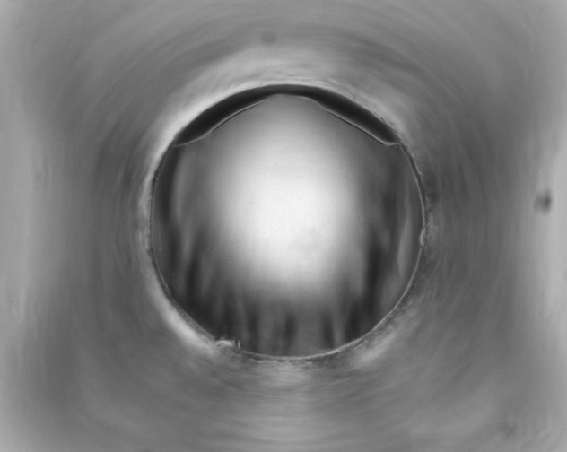X0000090481528200708102145