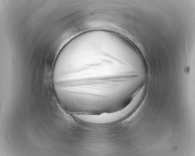 X0000090481529200708102145