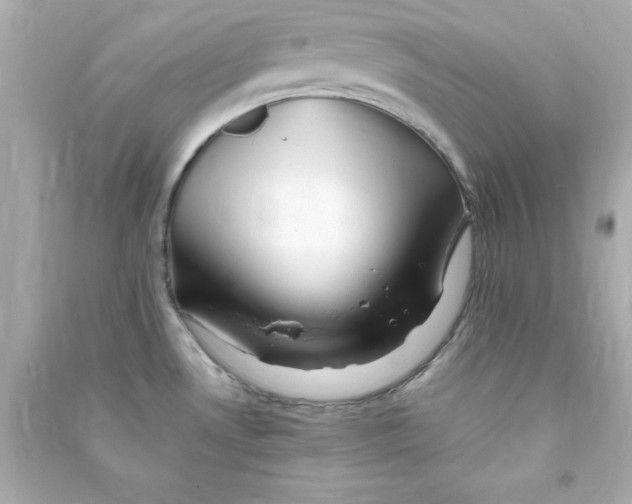 X0000090481530200708102145