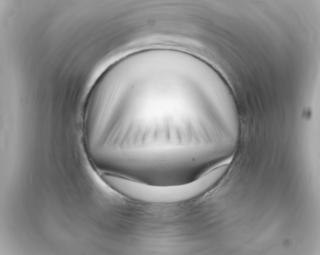 X0000090481531200708102145