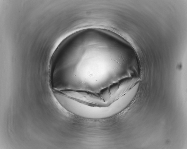 X0000090481532200708102145