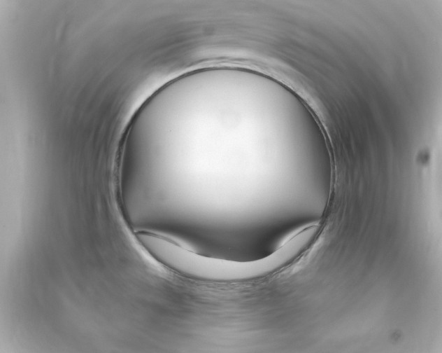 X0000090481533200708102145