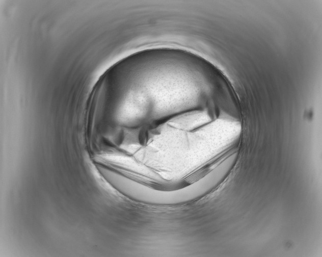 X0000090481534200708102145