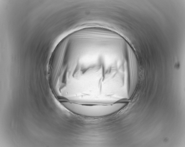 X0000090481535200708102145