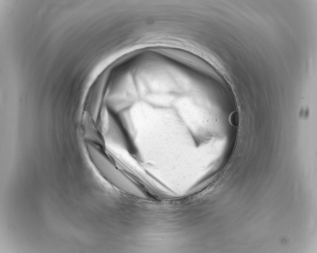 X0000090481536200708102145