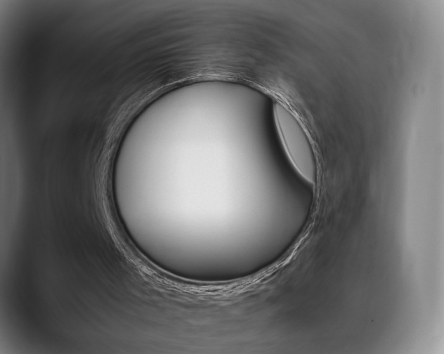 X0000090490001200707130939