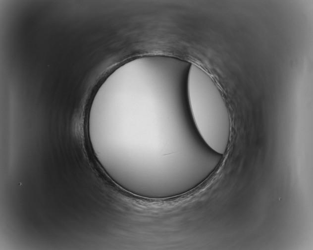 X0000090490006200707130939