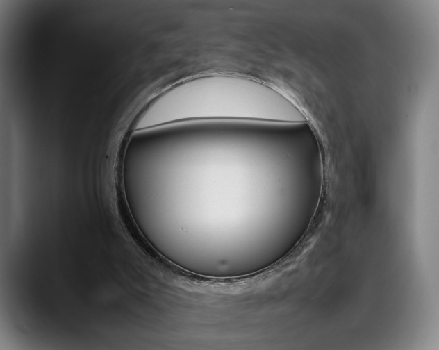 X0000090490007200707130939