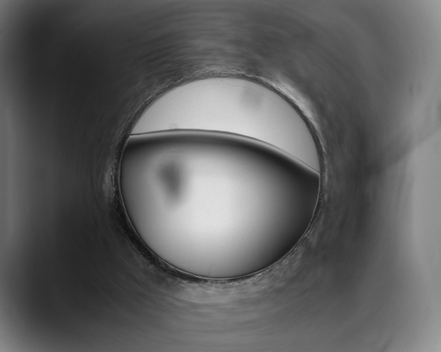 X0000090490009200707130939