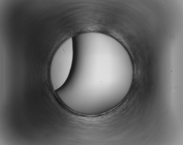 X0000090490010200707130939
