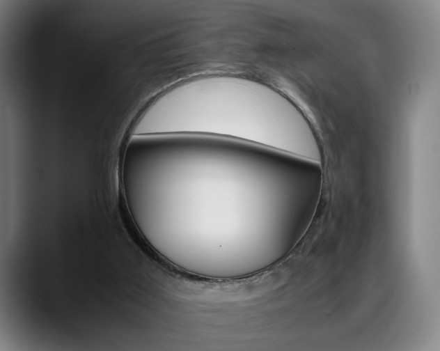 X0000090490011200707130939