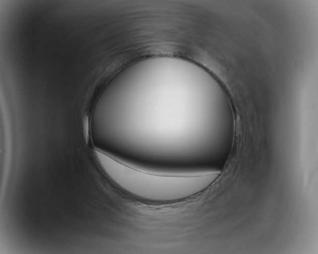 X0000090490013200707130939