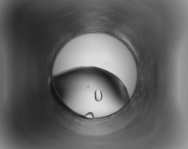 X0000090490019200707130939