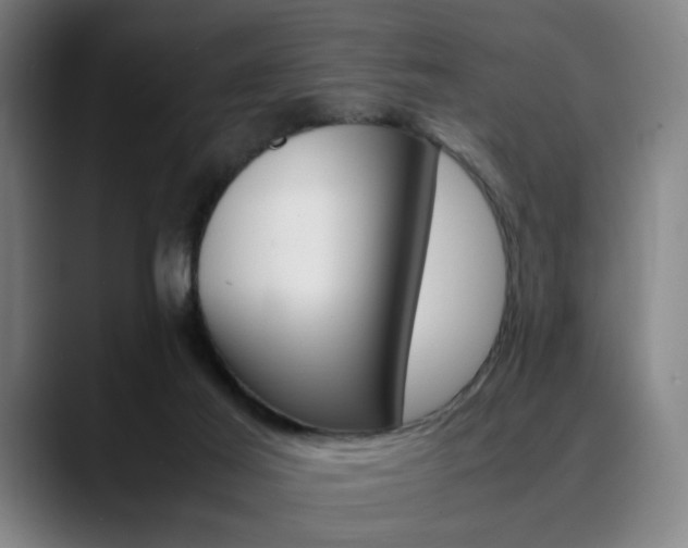 X0000090490021200707130939