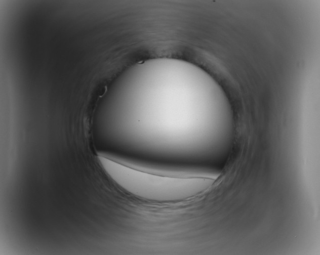 X0000090490025200707130939