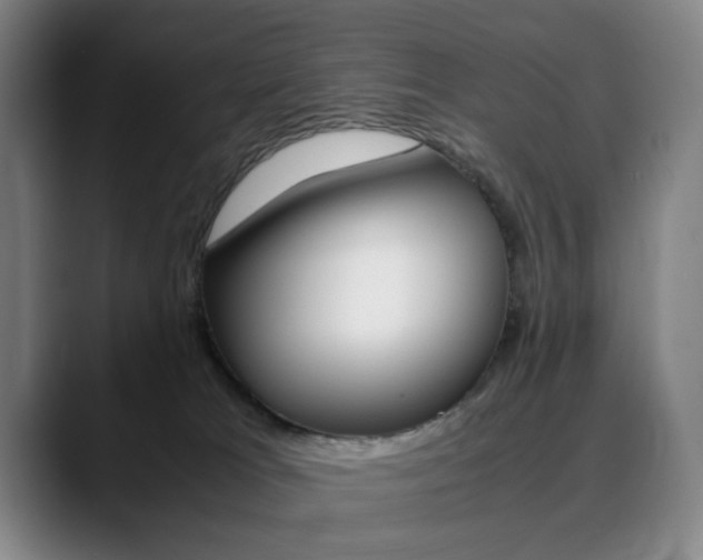 X0000090490037200707130939