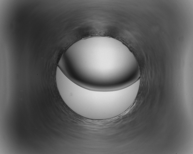 X0000090490045200707130939