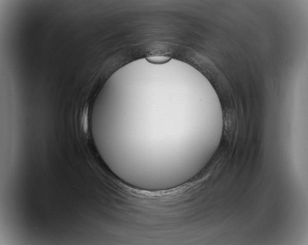 X0000090490046200707130939