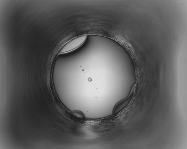 X0000090490051200707130938