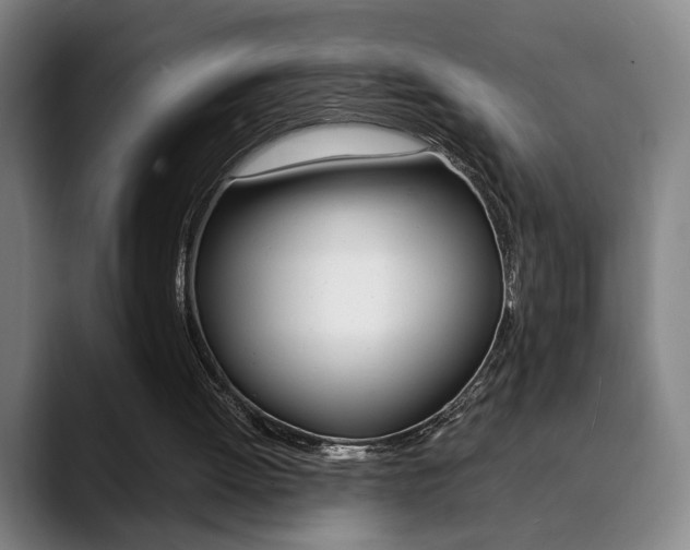 X0000090490052200707130938