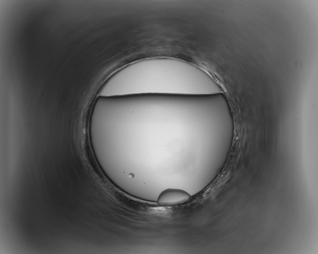X0000090490053200707130938