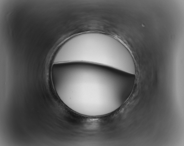 X0000090490055200707130938