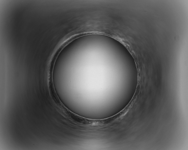 X0000090490056200707130938