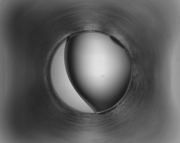 X0000090490060200707130938