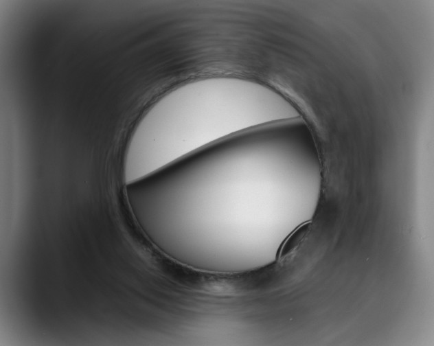 X0000090490062200707130938