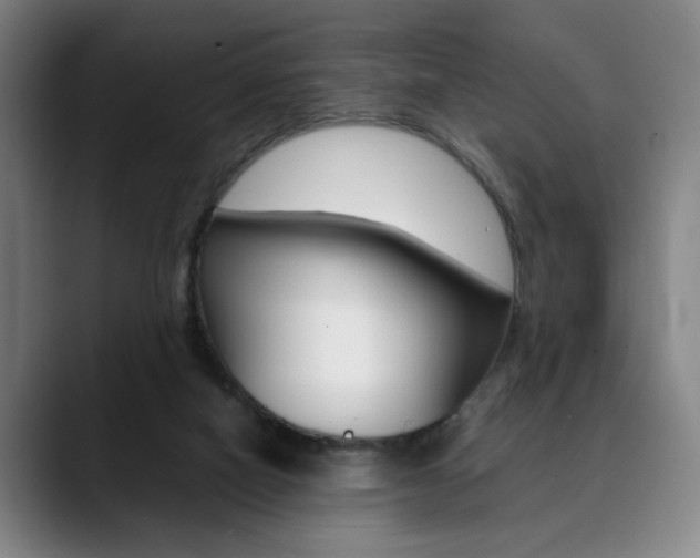 X0000090490066200707130938