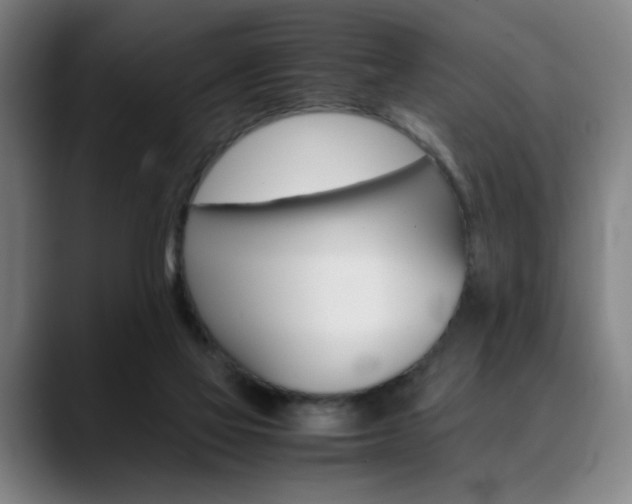 X0000090490069200707130938
